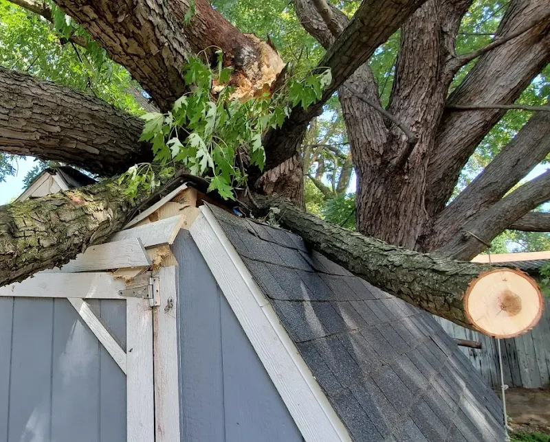 emergency tree services