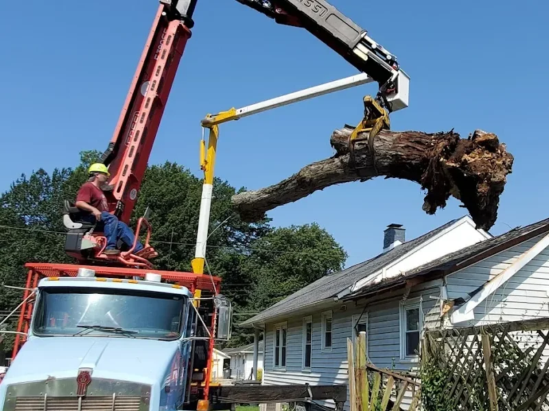 crane services