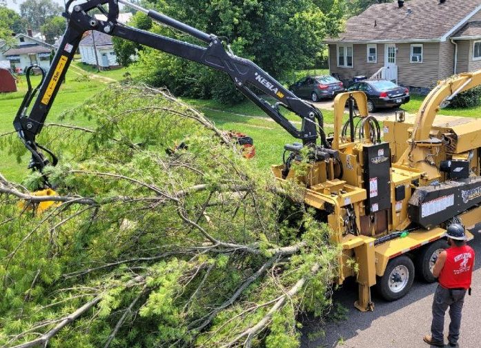 emergency tree services
