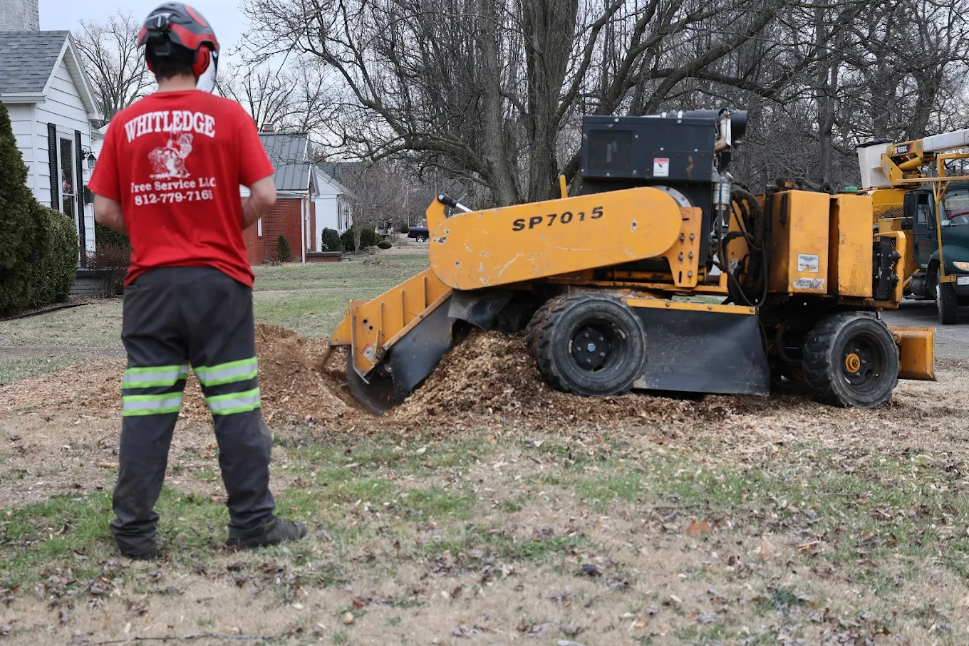 Expert stump grinding