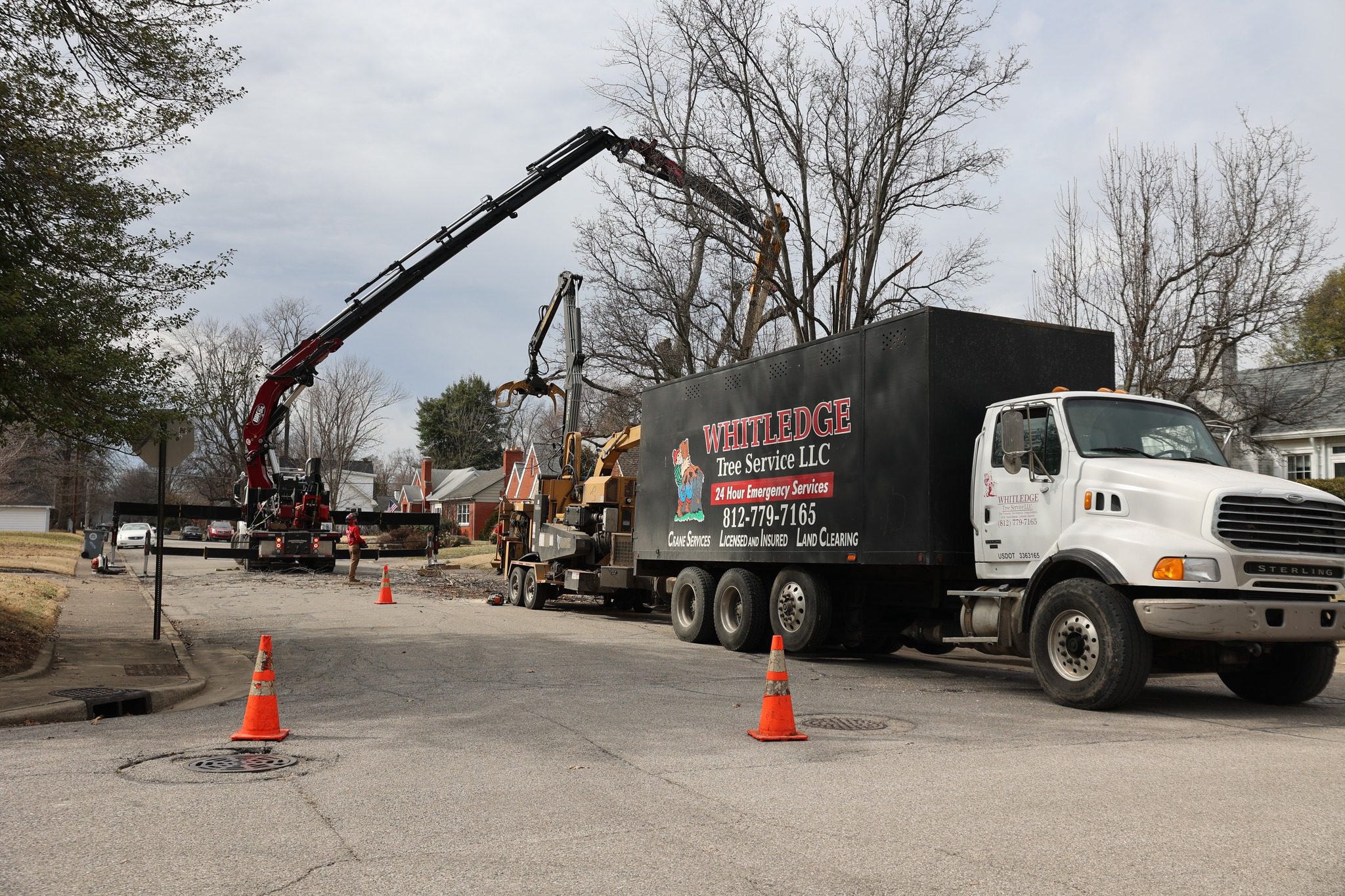 Whitledge Tree Service at work