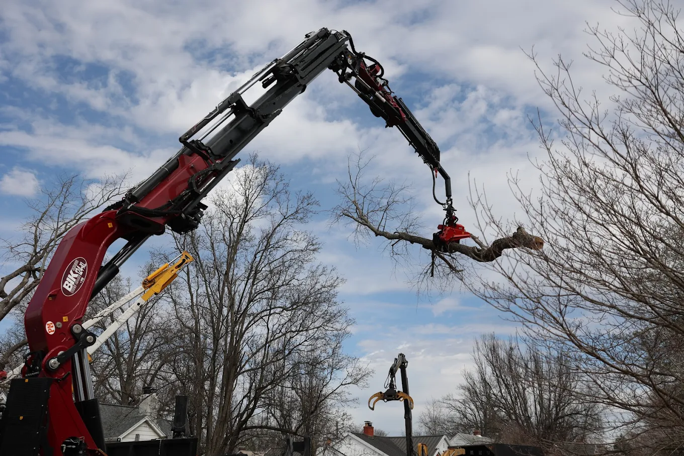 Here are 5 Signs You Need a Tree Contractor in Evansville