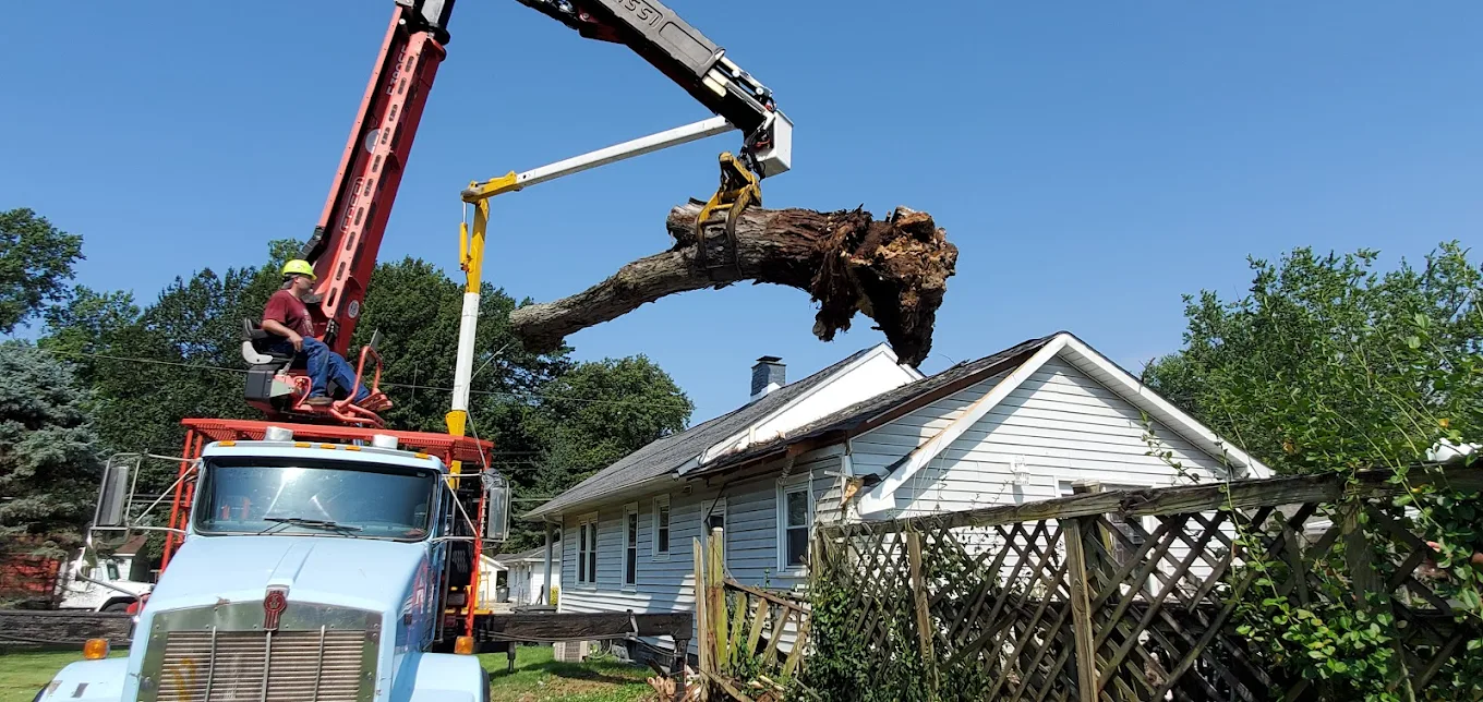 Removing large tree limb from property