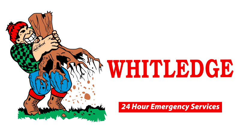 whitledge tree service logo