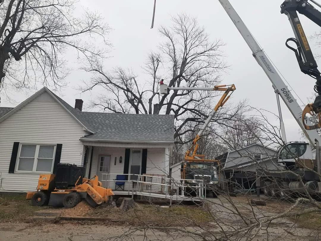 A fallen tree on a house after a winter storm, emphasizing urgent response needed.