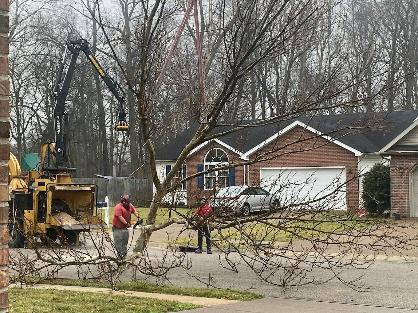 Tree damage on a house after winter storm, highlighting freeze-thaw cycle effects.