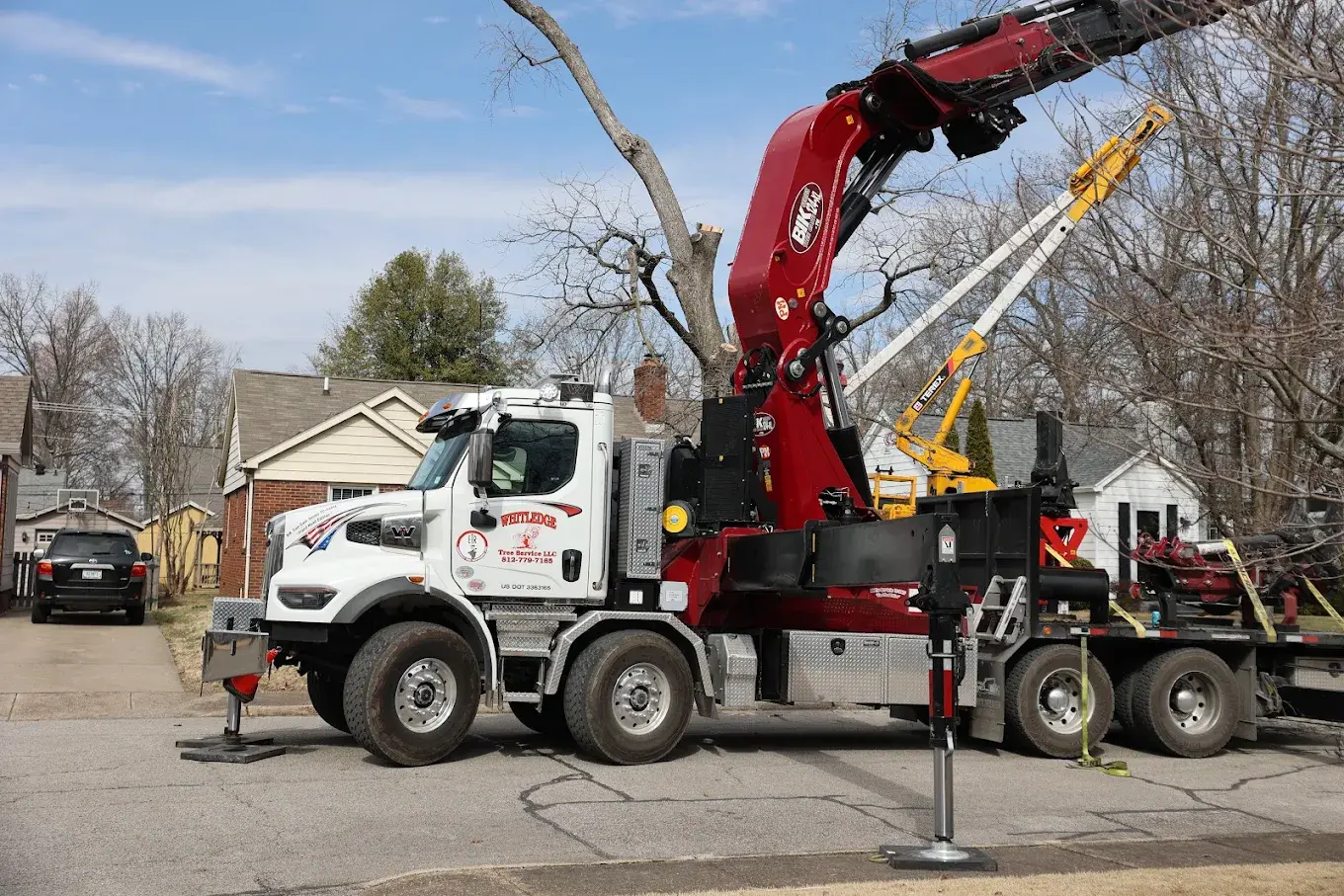 Spring tree issues in Evansville may go unnoticed but can escalate without proper tree care.