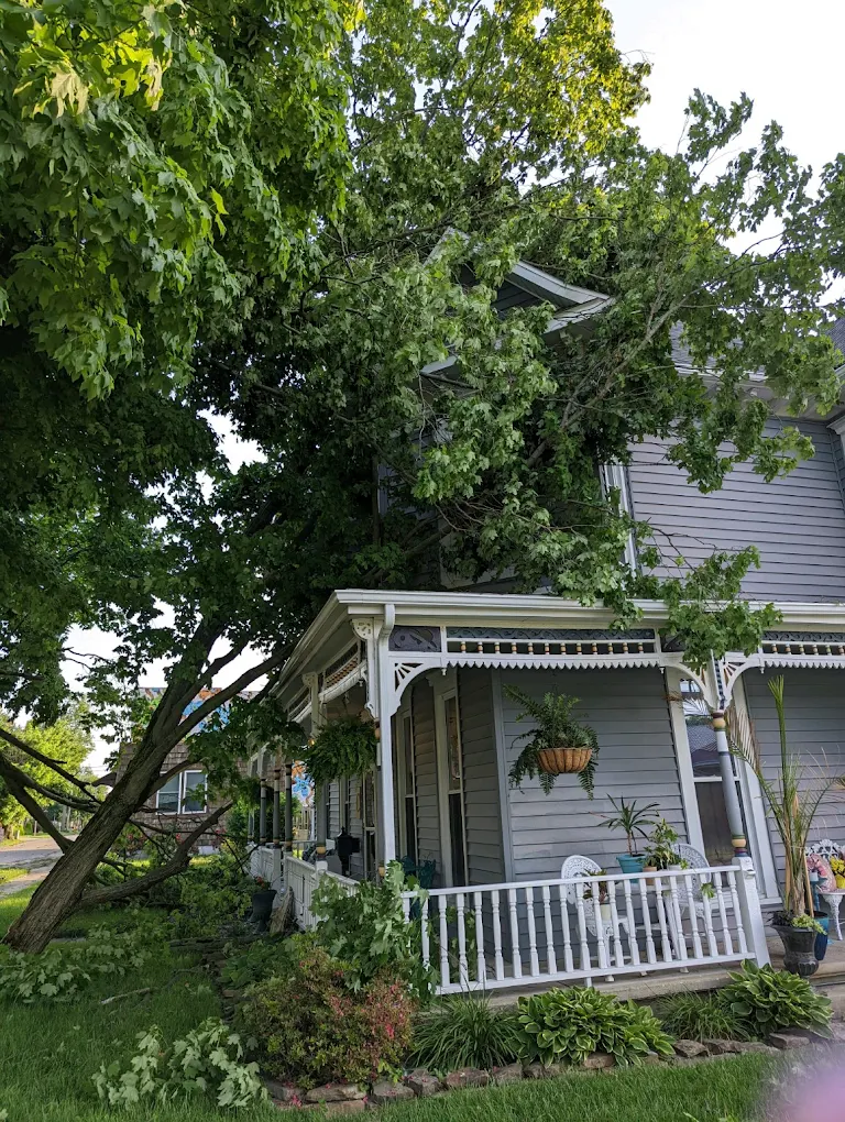 Why Southern Indiana Homeowners Call Emergency Tree Services After Storms