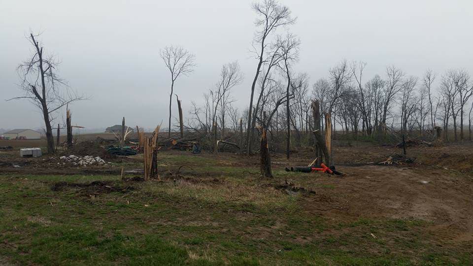 Storm-damaged trees with broken limbs and stumps in a cleared area, highlighting summer tree problems in Evansville.