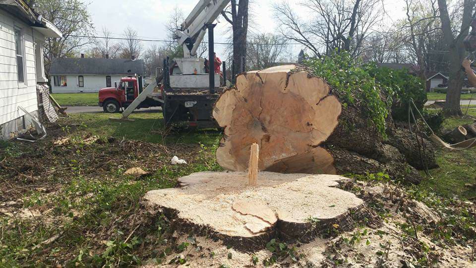 Large tree stump in a yard with a tree removal truck nearby, illustrating the aftermath of tree removal.