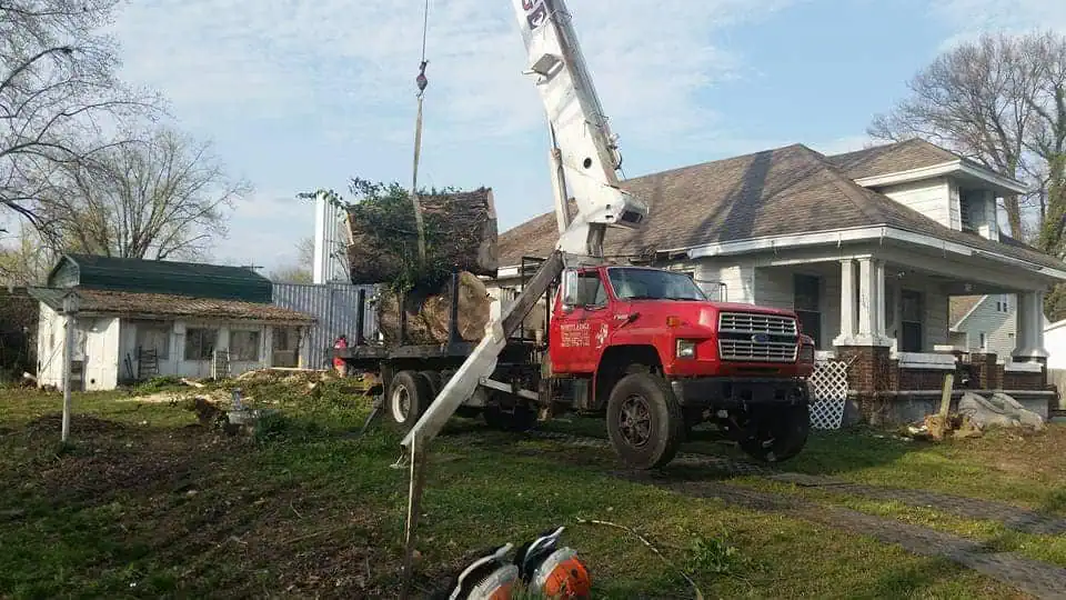 Tree removal service in Princeton IN with consistent professional results