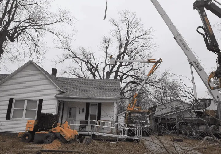 Emergency Tree Removal in Princeton, IN | Whitledge Tree Service