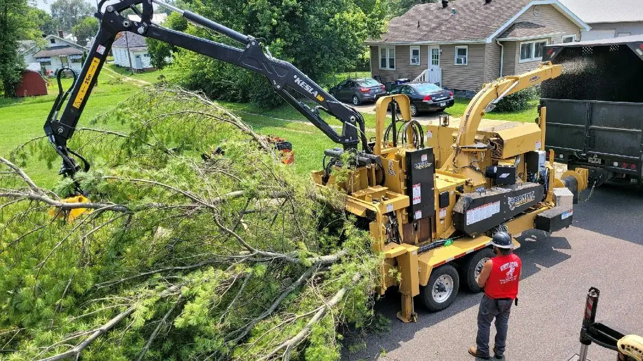 Tree removal in Princeton IN completed by skilled crew with great pricing