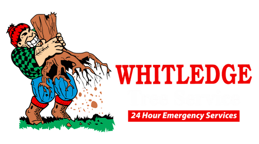 whitledge tree service logo
