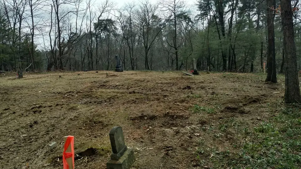 light land clearing