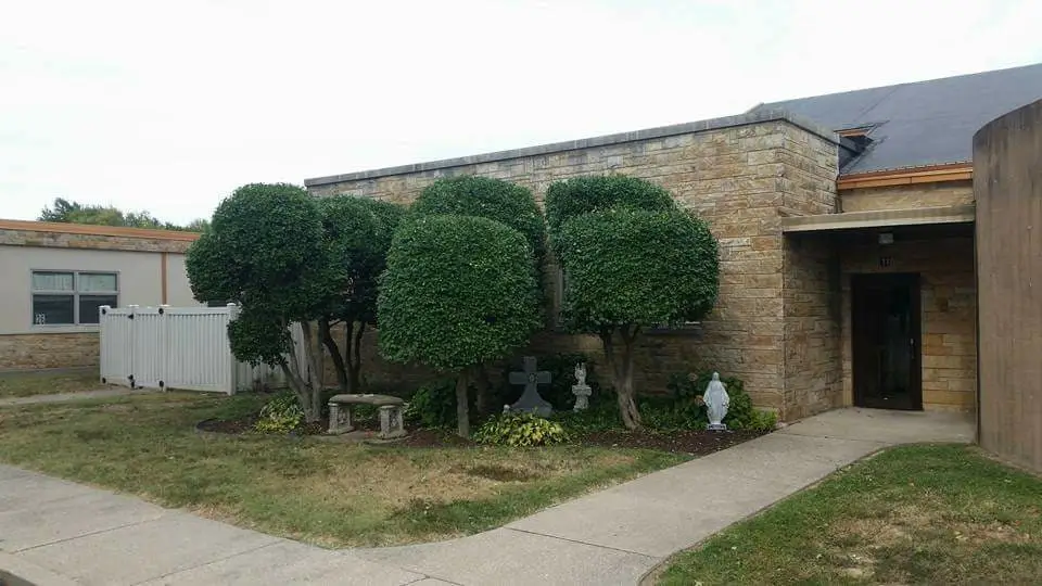 tree trimming