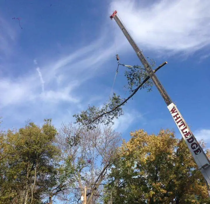 crane services near me