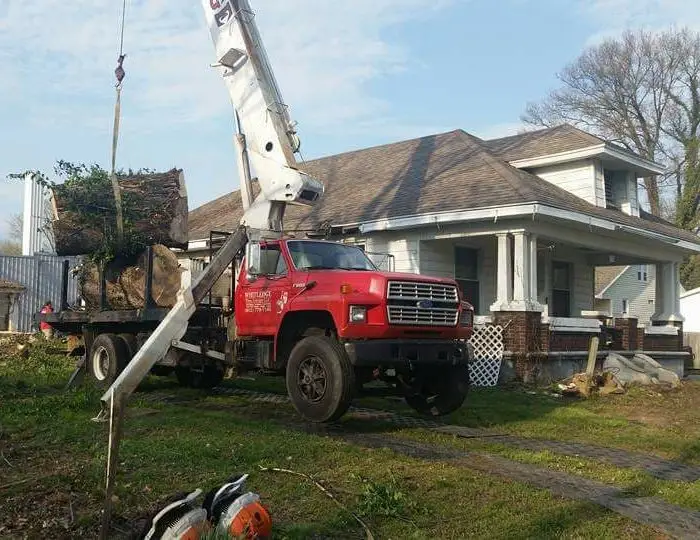 tree crane service truck