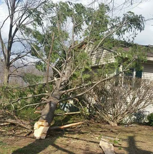 emergency/disaster cleanup services
