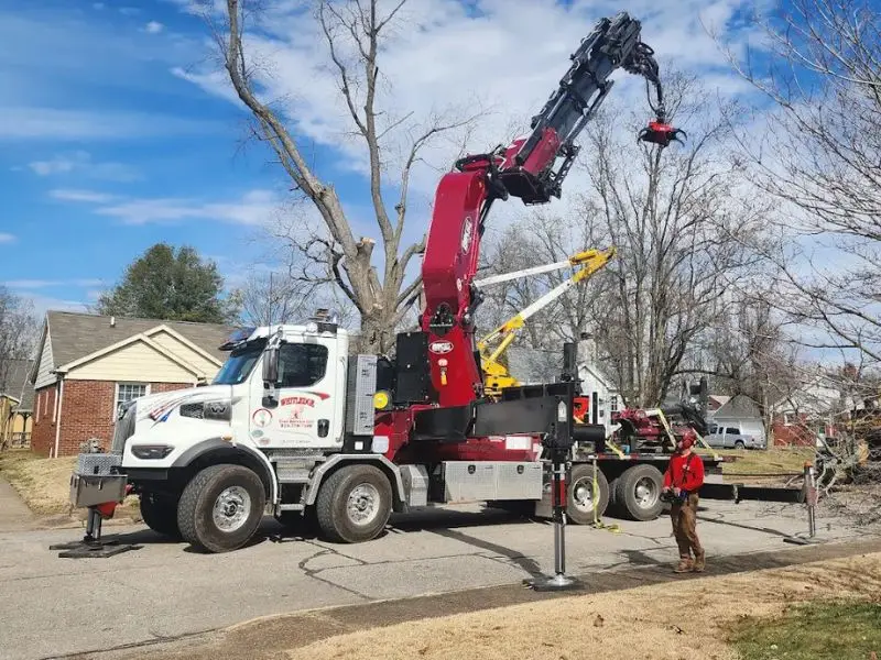 Whitledge Tree Service truck