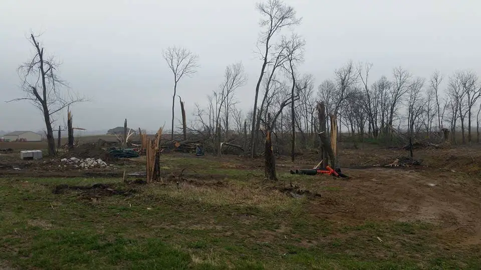 Storm-damaged trees with broken limbs and stumps in a cleared area, highlighting summer tree problems in Evansville.